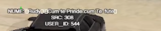 image6.png