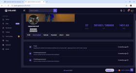 ogland romania _ user panel - Google Chrome 12_2_2025 5_29_24 PM.png