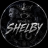 Shelby23